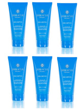 6 pack of Miracle Anti-Aging Shampoo Hair and Follicle Therapy, 6 oz x 6